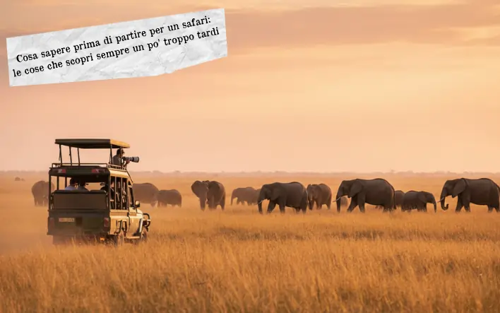 Cosa sapere prima di partire per un safari